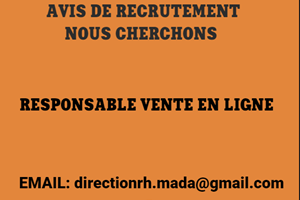 MITADY RESPONSABLE VENTE EN LIGNE 