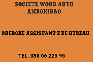 SOCIETE WORD AOTO MITADY ASSISTANT DE DIRECTION 