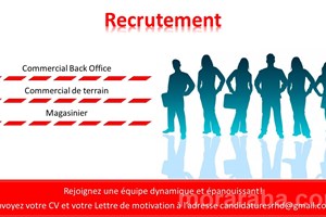 UNE SOCIETE SISE A IVATO CHERCHE : COMMERCIAL DE TERRAIN - COMMERCIAL BACK OFFICE - MAGASINIER