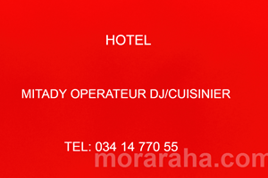 MITADY OPERATEUR DJ/CUISINIER 