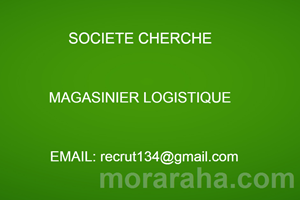 UN SOCIETE CHERCHE MAGASINIER LOGISTIQUE 