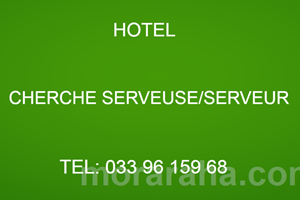 HOTEL MITADY SERVEUSE /SERVEUR 