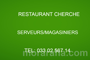 MITADY MAGASINIERS/SERVEURS 