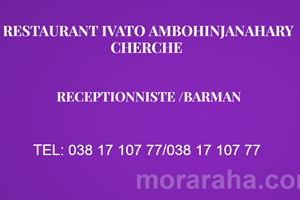 MITADY RECEPTIONNISTE /BARMAN 