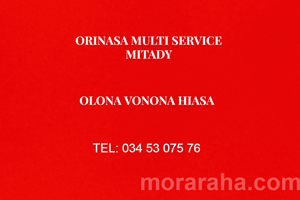 ORINASA MITADY AGENT MUTISERVERICE 