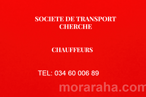  SOCIETE DE TRANSPORT MITADY CHAUFFEURS