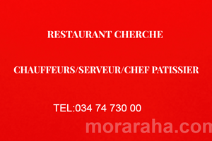 MITADY CHAUFFEURS/SERVEUR/CHEF PATISSIER 