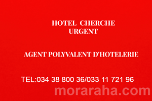 MITADY AGENT POLYVALENTE HOTELLERIE 