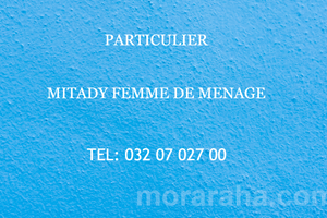 PARTICULIER MITADY FEMME DE MENAGE 