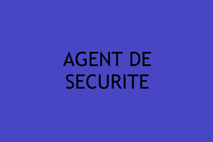 SOCIETE CHERCHE AGENT DE SECURITE 