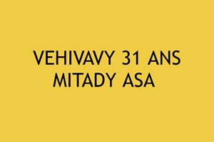 VEHIVAVY