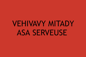 VEHIVAVY