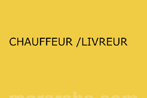 CHAUFFEUR /LIVREUR 