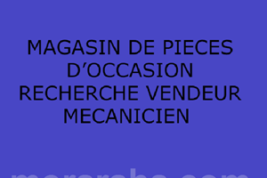 MAGASIN DE PIECES D’OCCASION RECHERCHE VENDEUR MECANICIEN 