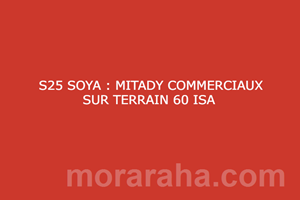 S25 SOYA : MITADY COMMERCIAUX SUR TERRAIN 60 ISA 