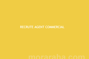 CHEINMALT DISTRUBUTION  RECRUTE AGENT COMMERCIAL 