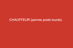 CHAUFFEUR (permis poids lourds)