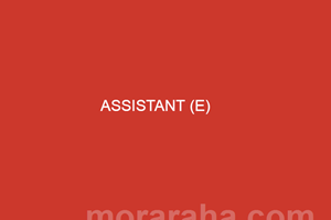 ASSISTANT (e)