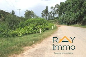 TERRAIN agricole et constructible à vendre Tanandava Toamasina