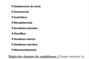 MITADY RECEPTIONNISTE/VENDEURS/VENDEUSES/CAISSIERES/CONTROLEUR/GESTIONNAIRE DE STOCK/SECRETAIRE/CHAUFFEUR