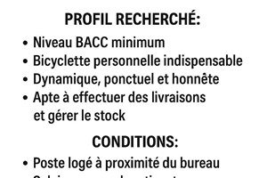 MITADY MAGASINIER/COURSIER