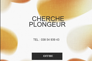 cherche  plongeur /serveuse/aide cuissinier 