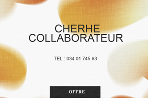 on cherche  collaborateur 