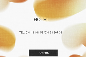 MITADY MAITRE HOTEL SY CUISINIER 