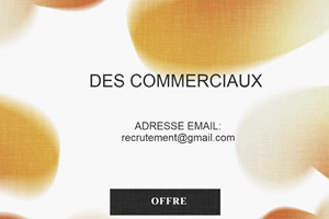 RECRUTES DES COMMERCIAUX CONTRAT EN CDI 