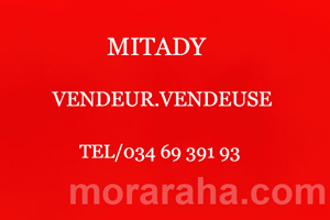 MITADY VENDEUSE /VENDEUR 