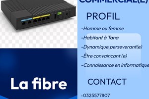 MITADY AGENTS COMMERCIALE H/F