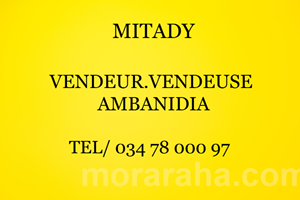 MITADY VENDEUSE/VENDEUR 