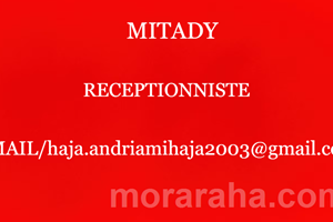 MITADY RECEPTIONNISTE 