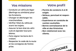 MITADY CHAUFFEUR LIVREUR VEHICULE LEGERE 
