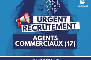 MITADY AGENTS COMMERCIAUX 17