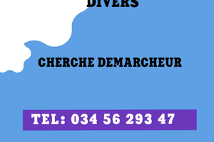 UNE SOCIETE CHERHE DEMARCHEUR 