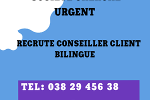 UNE SOCIETE RECRUTE CONSEILLER CLIENT BILINGUE 