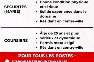 MITADY SERVEURS /SECURITES/COURSIERS