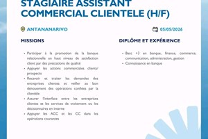 MITADY ASSISTANT COMMERCIAL E 