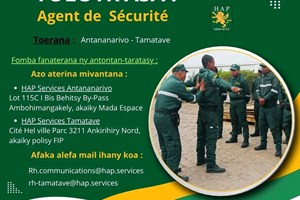 MITADY AGENT DE  SECURITE 