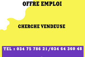 UNE SOCIETE CHERCHE VENDEUSE 