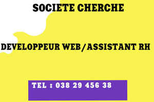 UNE SOCIETE CHERCHE DEVELOPPEUR WEB/ASSISTANT RH 