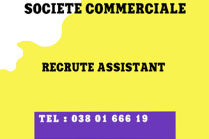 UNE SOCIETE RECRUTE ASSISTANT COMMERCIALE 