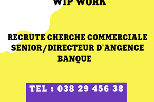 WIP WORK CHERCHE COMMERCIALE SENIOR/DIRECTEUR D'AGENCE/