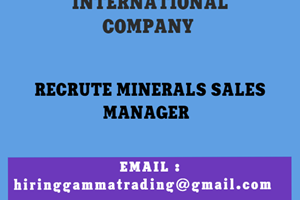 COMPANY INTERNATIONAL CHERCHE MINERALS SALES MANAGER 