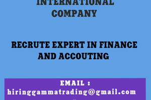 COMPANY INTERNATIONAL CHERCHE EXPERT IN FINANCE 