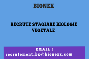 BIONEX RECRUTE STAGIAIRE EN BIOLOGIE VEGETALE 