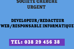 UNE SOCIETE CHERCHE DEVELOPPEUR /REDACTEUR WEB /RESPONSABLE INFORMATIQUE 