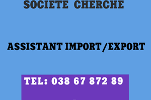 SOCIETE CHERCHE ASSISTANT IMPORT/EXPORT 