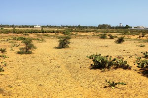 A VENDRE-Terrain 18 678m2 idéal pour investisseurs projet commercial à Betsinjaka tuléar Madagascar